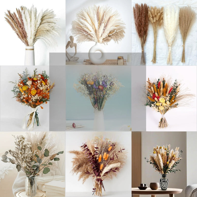 Dried Pampas Grass Flower Bouquets for Home Decoration DIY Mix and Match