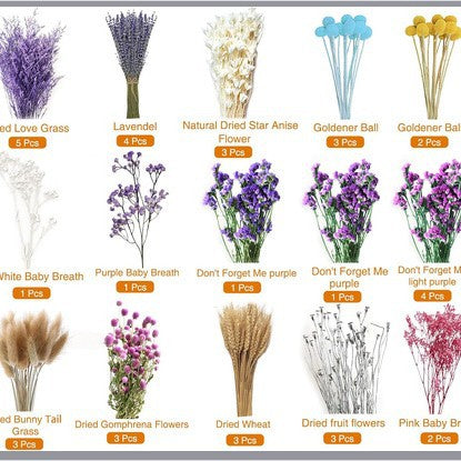 Dried Pampas Grass Flower Bouquets for Home Decoration DIY Mix and Match